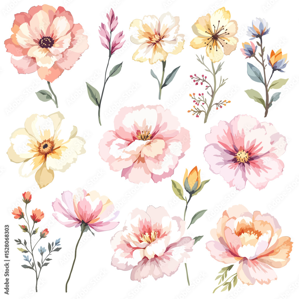 Obraz premium Beautiful watercolor floral set with hand-drawn summer wild field flowers, featuring clip art illustrations