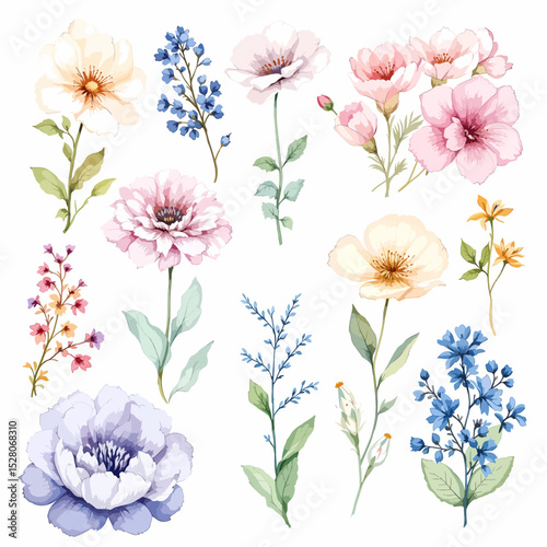 Set of watercolor flowers on white background
