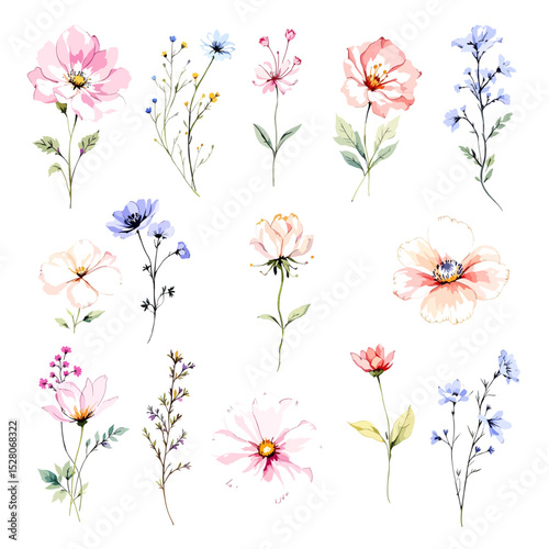 Set of watercolor flowers on white background
