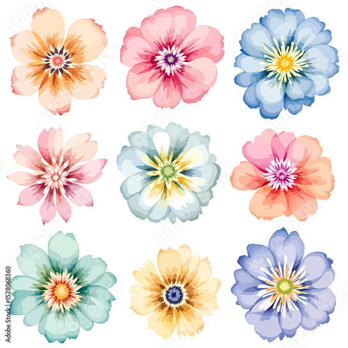 Set of watercolor flowers on white background
