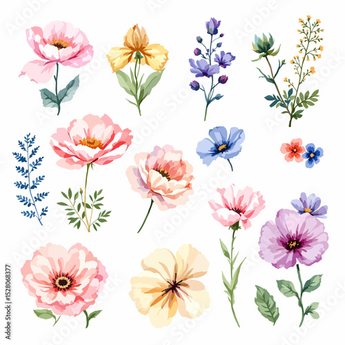 Set of watercolor flowers on white background
