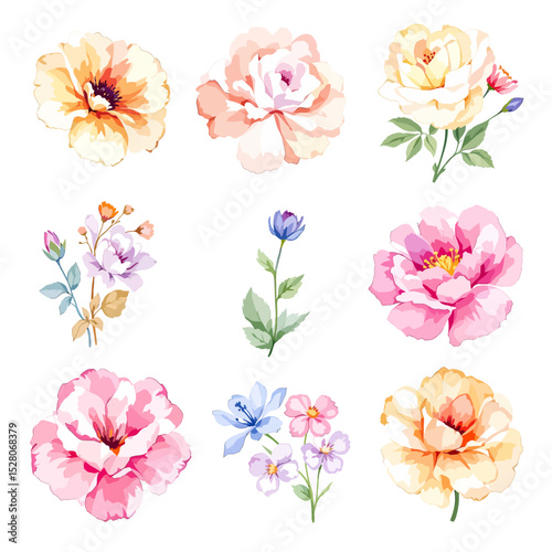 Set of watercolor flowers on white background
