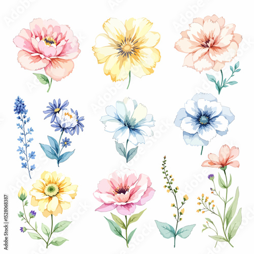 Set of watercolor flowers on white background
