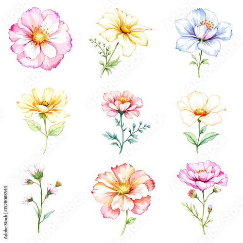 Set of watercolor flowers on white background
