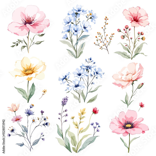 Watercolor painted floral clipart set