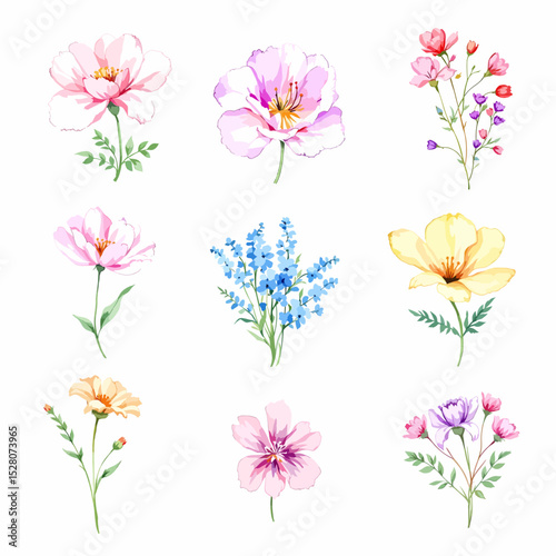 Beautiful watercolor floral set with hand-drawn summer wild field flowers, featuring clip art illustrations