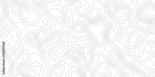 Abstract background vector. Abstract topographic contours map background. Abstract white pattern topography vector background. Black and white topography contour line map isolated on white background.