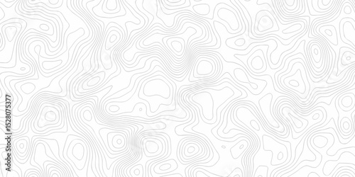 Abstract background vector. Abstract topographic contours map background. Abstract white pattern topography vector background. Black and white topography contour line map isolated on white background.
