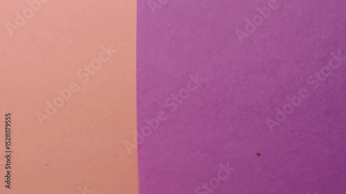 Vivid construction paper backgrounds in bold colors are gently animated by soft, natural shadows gliding across the surface, creating depth, movement, and visual warmth.