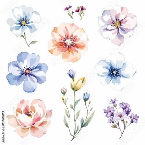Beautiful floral set with watercolor hand drawn wild field flowers. Stock illustration. Clip art.