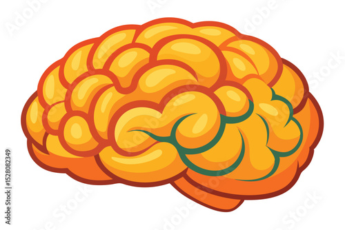 Boost Your Brainpower Understanding the Human Brain's Complex Structures and Functions