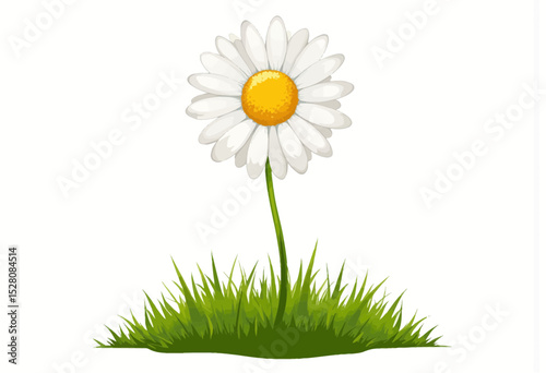 Single daisy flower with a yellow center on green grass  