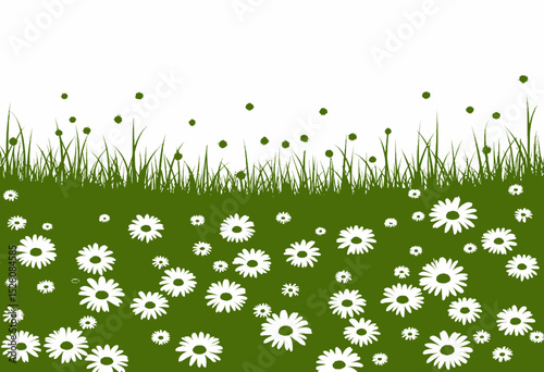 Green grass with white daisies in a minimalist floral pattern  