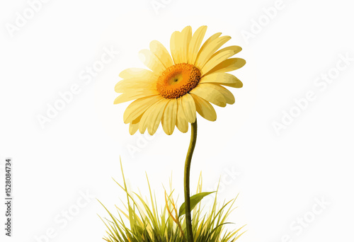 Yellow flower blooming in green grass under soft sunlight  