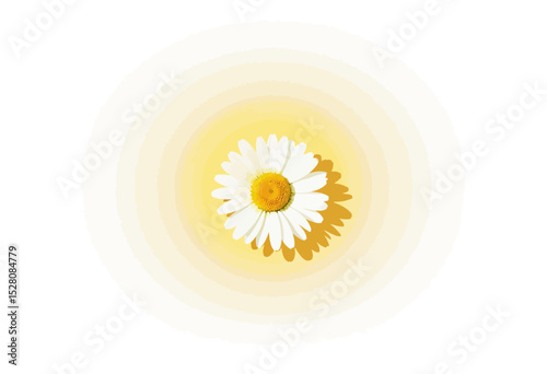 White daisy flower on a yellow background with soft glow effect  