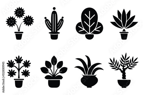 Collection of Potted Plants Cactus, Succulents, and More Houseplant Icons