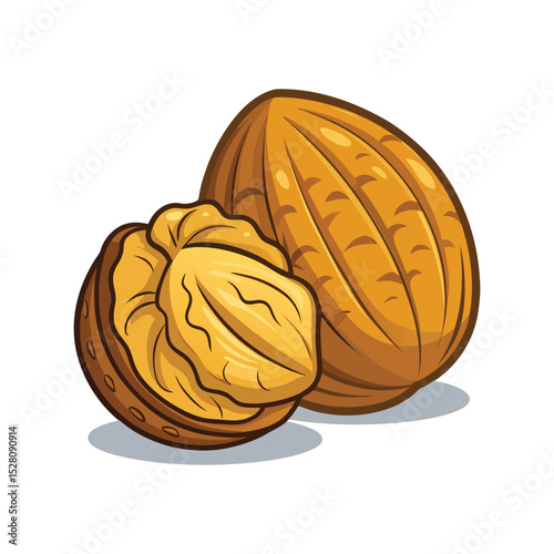 Walnuts vector illustration, whole and halved nuts graphic, healthy organic food design, natural brain snack clipart