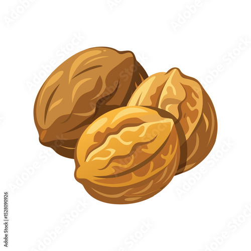 Walnuts vector illustration, whole and halved nuts graphic, healthy organic food design, natural brain snack clipart
