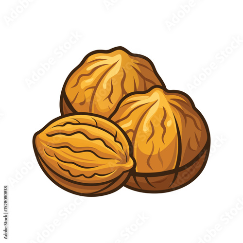 Walnuts vector illustration, whole and halved nuts graphic, healthy organic food design, natural brain snack clipart