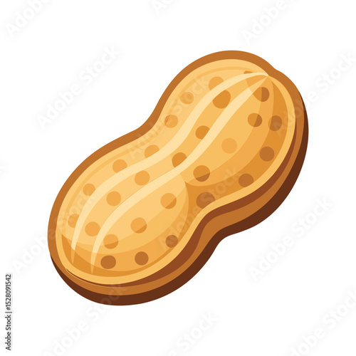 Peanut vector illustration, whole and shelled nuts graphic, healthy organic snack, natural food ingredient