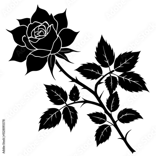 Silhouette of a wild rose branch with thorns and leaves