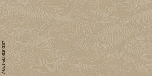 Abstract Geometric Vector Illustration of Wavy Black and White Contour Line Topographic Design.