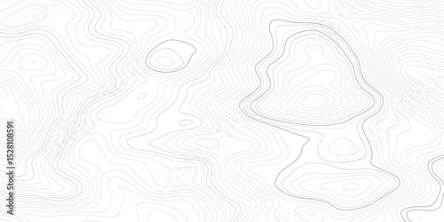 Abstract Geometric Vector Illustration of Wavy Black and White Contour Line Topographic Design.