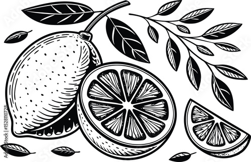 Stylish monochrome lemon silhouette design