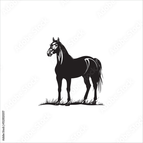 a horse with clearly visible muscles stands nobly on the grass