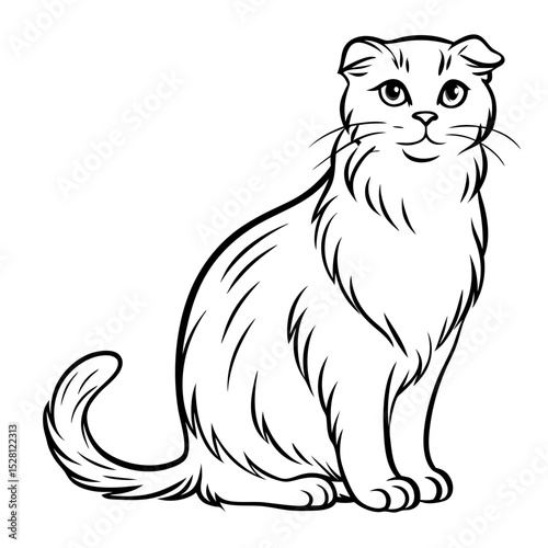 American Curl cat with backward ears sitting in a friendly pose