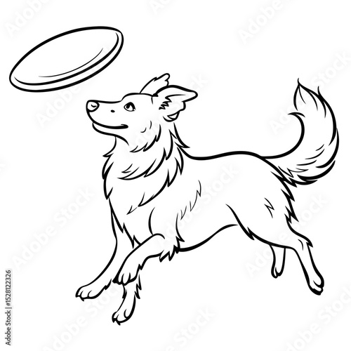 Border Collie dog jumping to catch flying frisbee in outdoor setting  