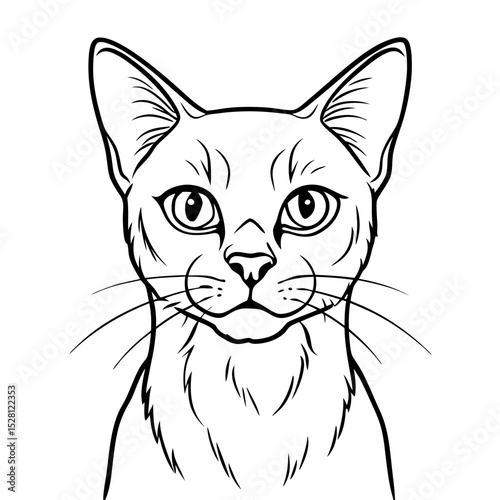 Burmese cat portrait illustration in black and white style  