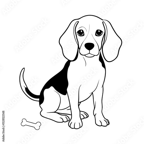 Playful beagle sitting and looking at viewer with a bone nearby  