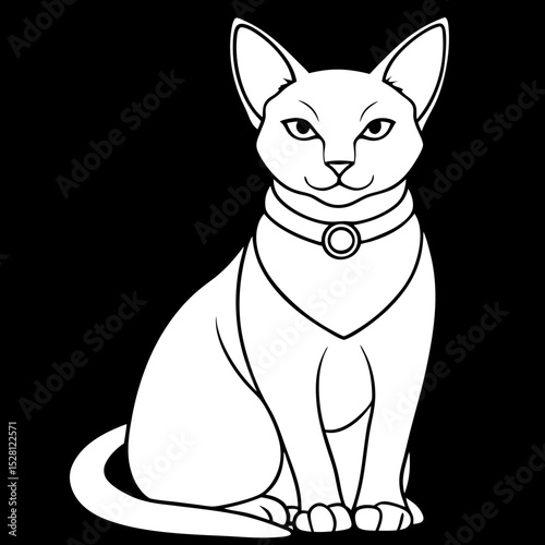 Oriental cat sitting calmly with a collar against a black background  