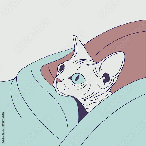 Sphynx cat peeking out from cozy blanket with calm expression  