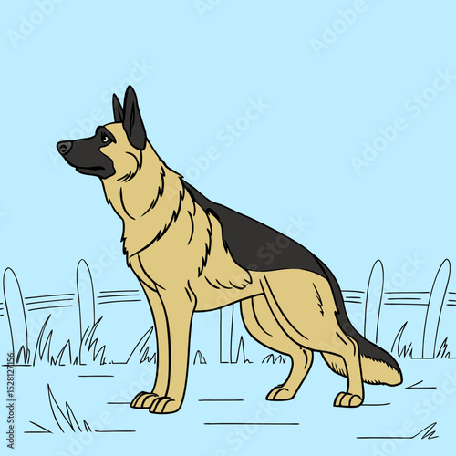 German Shepherd standing in a grassy field against a blue background  
