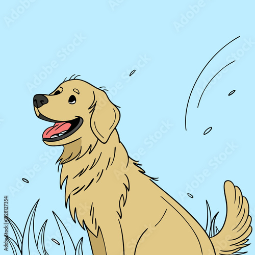 Happy golden retriever sitting in grass with blue sky background  