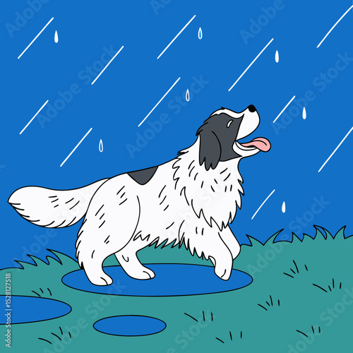 Cartoon newfoundland dog playing in puddles during rainy weather  