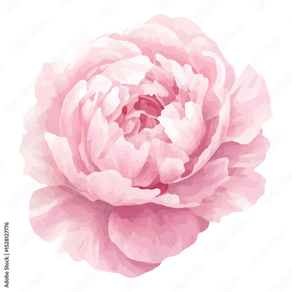 Fototapeta premium Adobe Illustrator Artwork