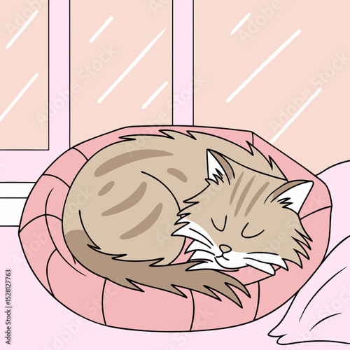 Cute cat sleeping peacefully in a cozy bed by the window
