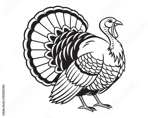 A black and white line drawing of a full turkey in profile view isolated on transparent background, PNG
