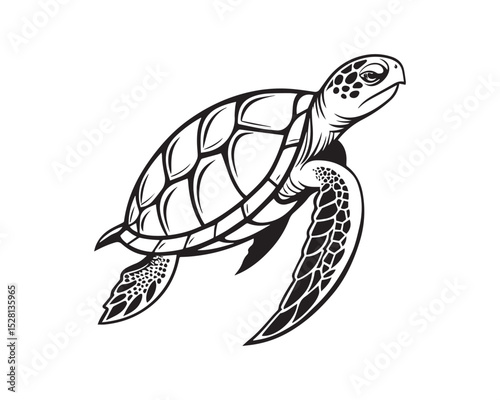 A black and white line drawing of a full turtle in profile view isolated on transparent background, PNG
