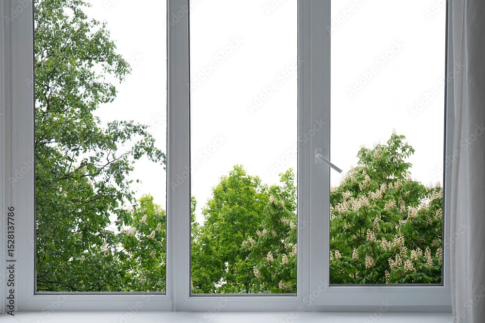 Naklejka premium View from the window of a blossoming chestnut tree in the garden.