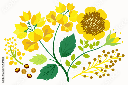 Botanical illustration of mustard plant with yellow flowers, green leaves, black and yellow mustard seeds, and seed pods. Herbal and culinary-themed flat lay design on a white background, ideal for ed
