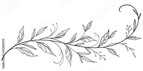 floral leaves line art isolated on white background. Divider doodle leaf and flowers, nature border decorative element vector illustration