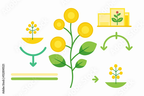Botanical illustration of mustard plant with yellow flowers, green leaves, black and yellow mustard seeds, and seed pods. Herbal and culinary-themed flat lay design on a white background, ideal for ed
