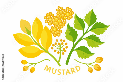 Botanical illustration of mustard plant with yellow flowers, green leaves, black and yellow mustard seeds, and seed pods. Herbal and culinary-themed flat lay design on a white background, ideal for ed