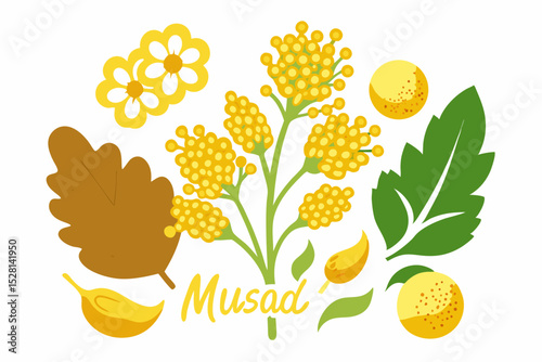 Botanical illustration of mustard plant with yellow flowers, green leaves, black and yellow mustard seeds, and seed pods. Herbal and culinary-themed flat lay design on a white background, ideal for ed