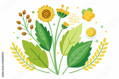 Botanical illustration of mustard plant with yellow flowers, green leaves, black and yellow mustard seeds, and seed pods. Herbal and culinary-themed flat lay design on a white background, ideal for ed