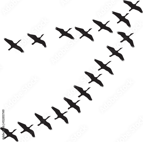 Majestic Flight A Stunning Silhouette of Migratory Birds in V-Formation